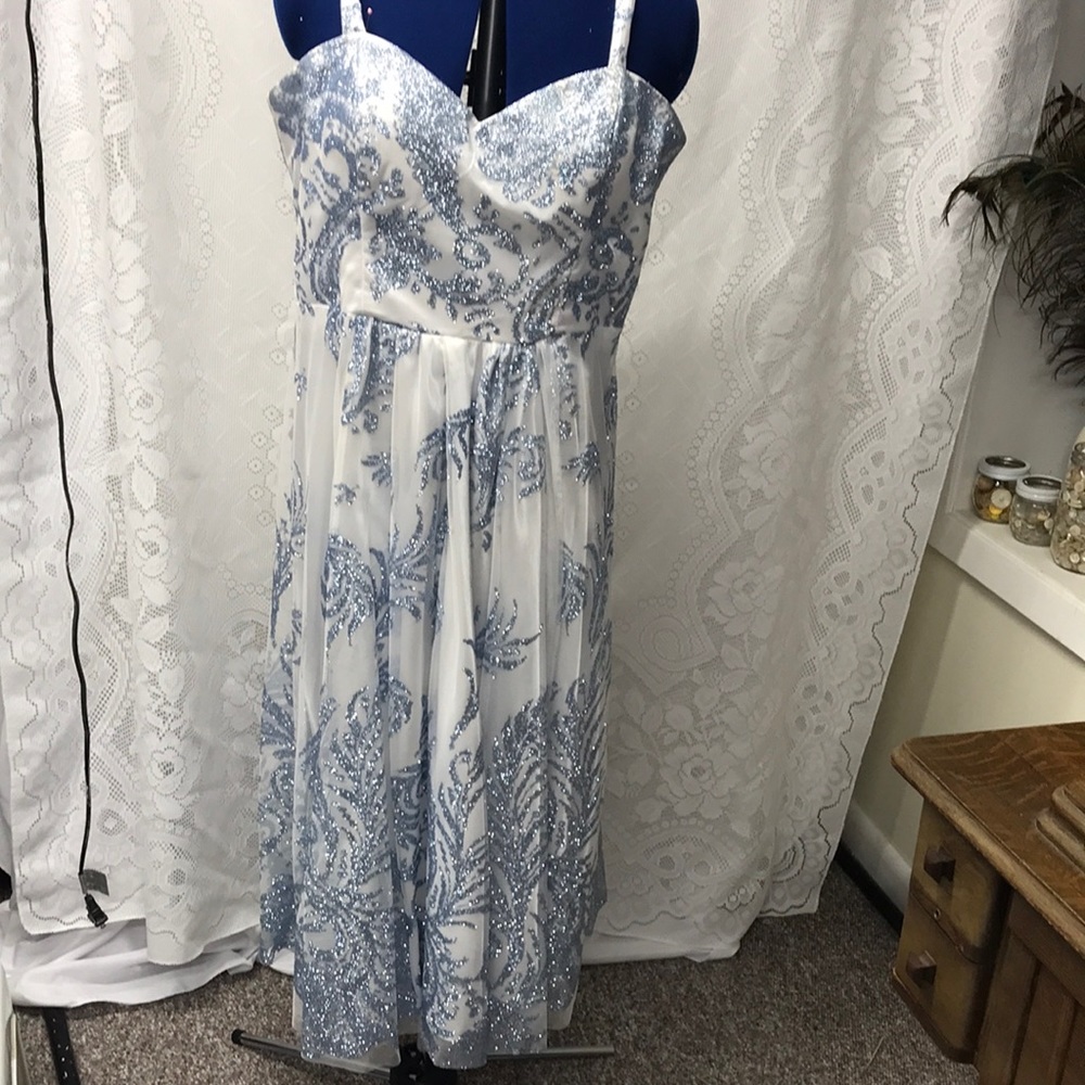 Cachet Beautiful Prom or Special Occasion Dress